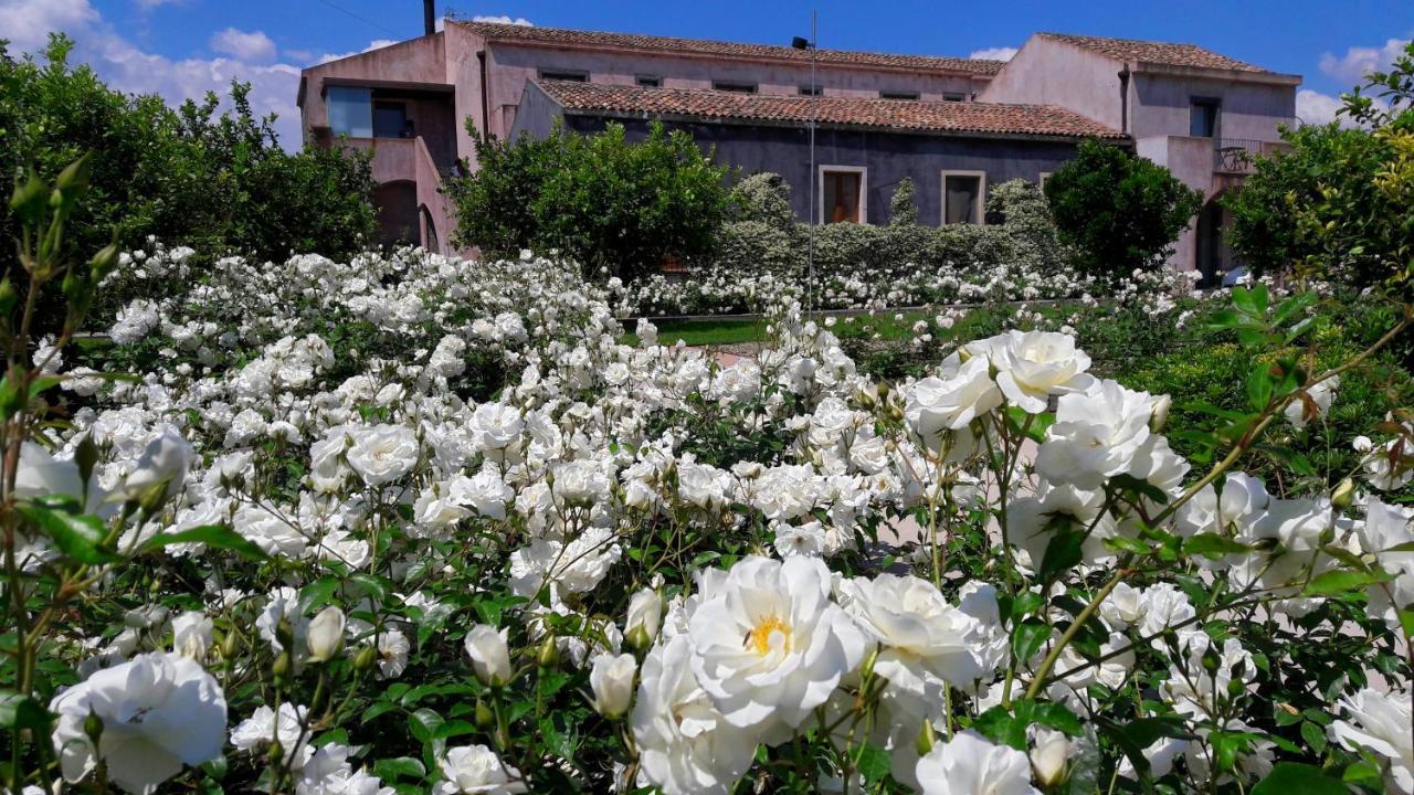 Ramo D'Aria Etna Boutique Hotel Giarre Luaran gambar